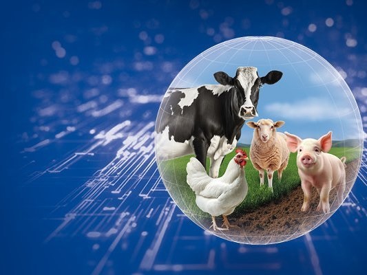 2717642344026817.jpg d8a5ac90-47da-46bc-a576-b710b6ad5fcd.jpg