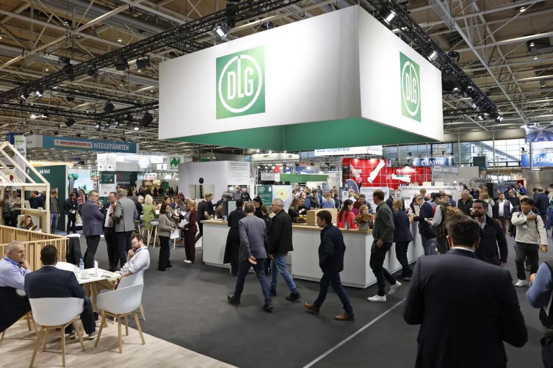 1117654192704995.jpeg 10002.jpeg