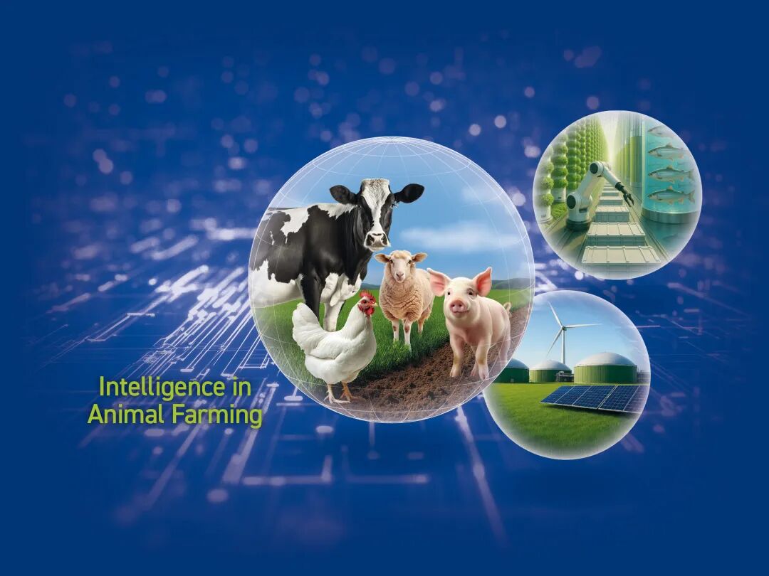 1117654193412427.jpeg 10003.jpeg