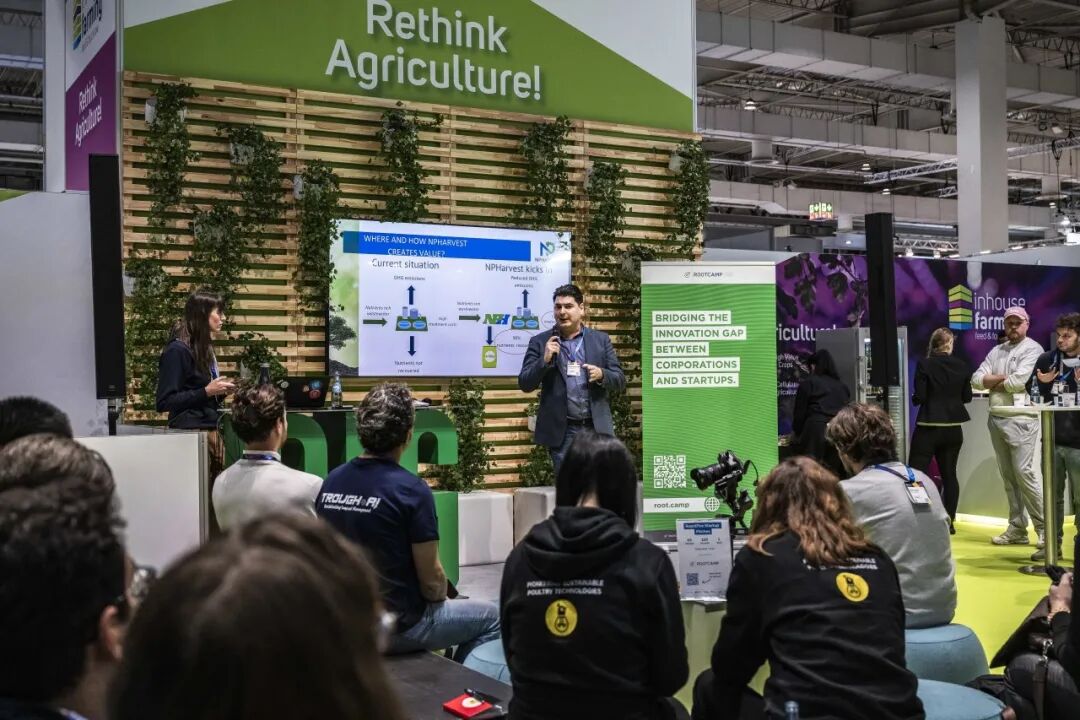 1117654193475271.jpeg 10004.jpeg