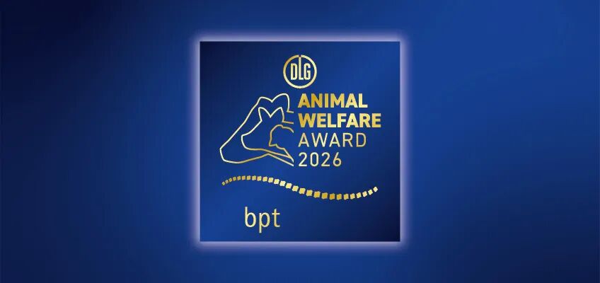 1117654195022322.jpeg 10009.jpeg