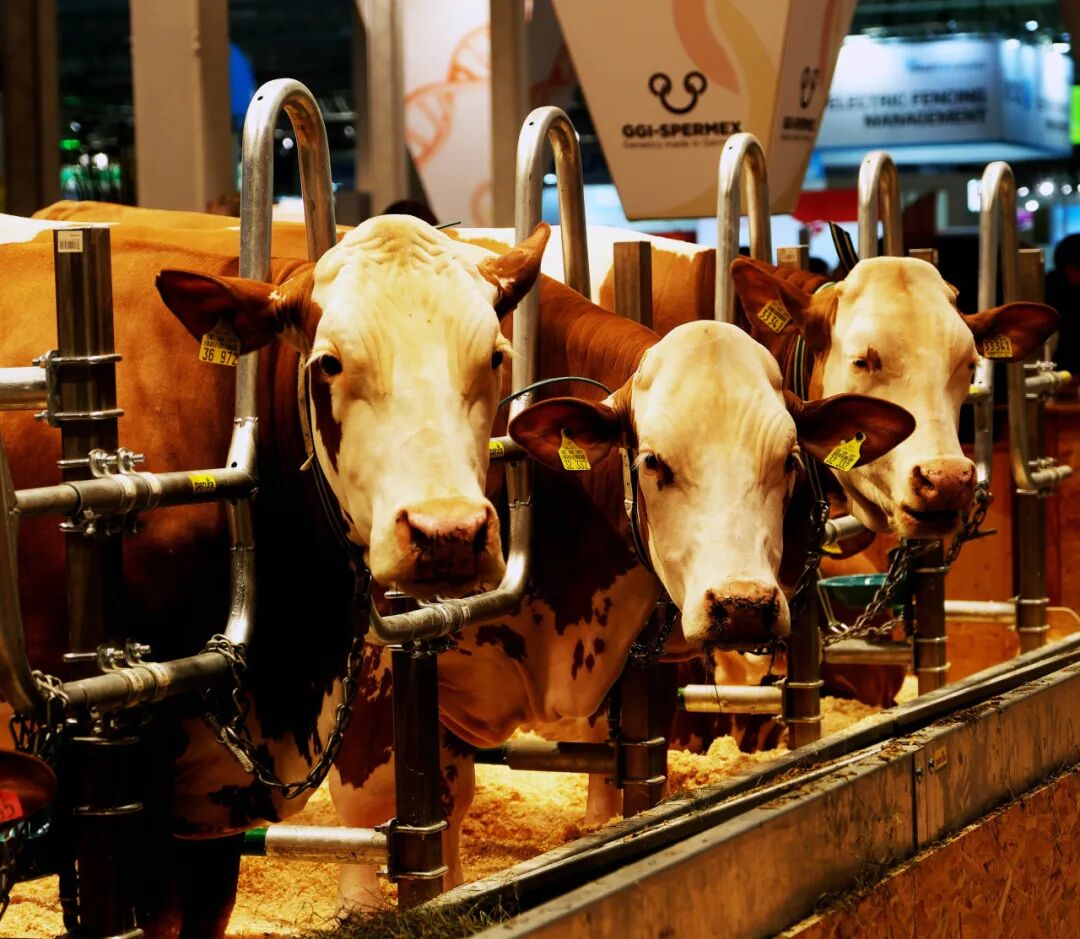 1117654195298848.jpeg 10014.jpeg